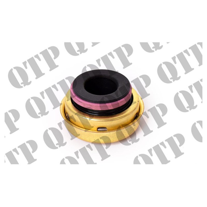 Joint de pompe à eau