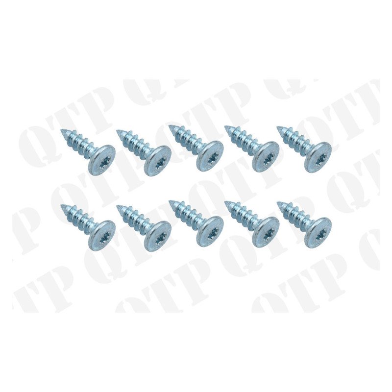 Screw Massey Ferguson (Pack de 10)