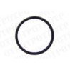 Lip Seal Ring