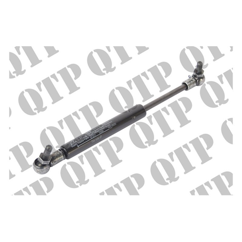 Gas Strut Door