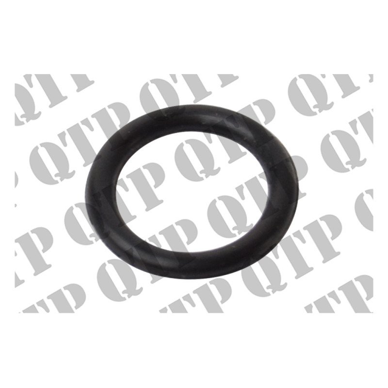 O Ring (Pack de 10)